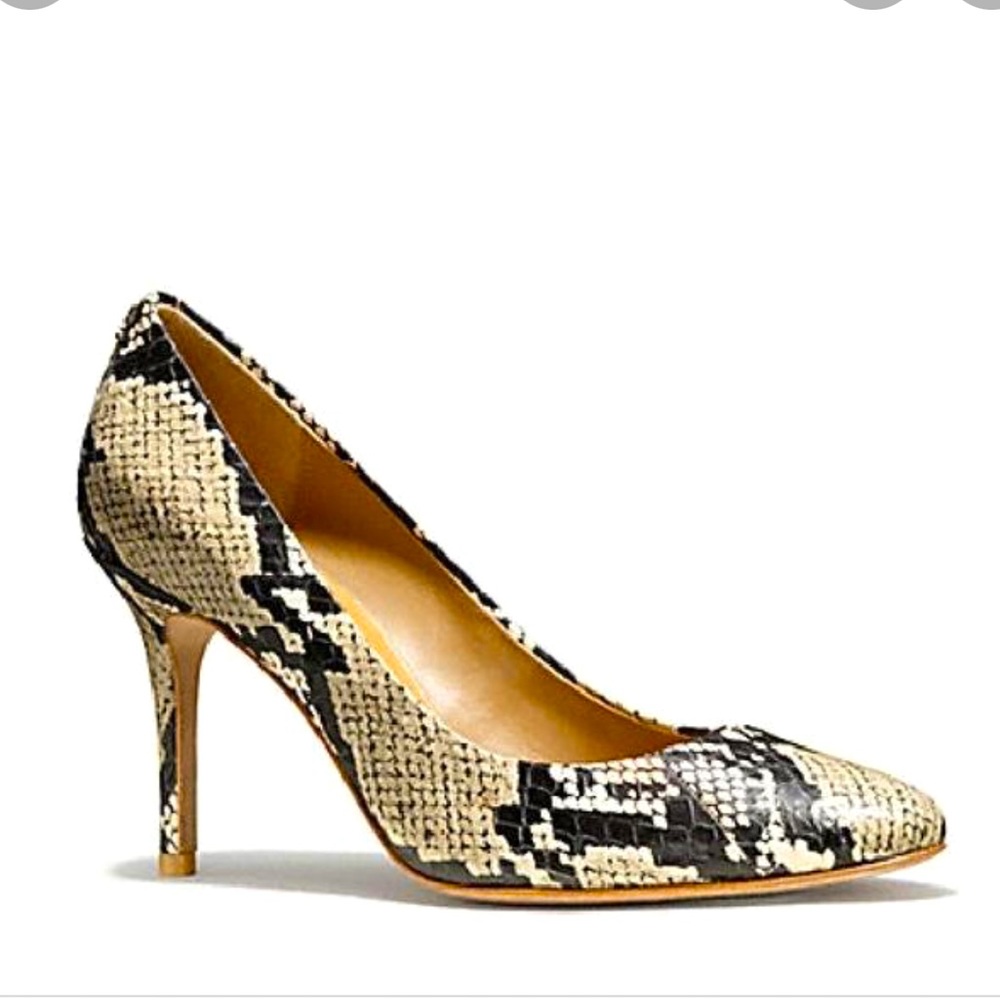 NIB COACH NALA SNAKE GRAPHIC LEATHER HEELS SZ 5